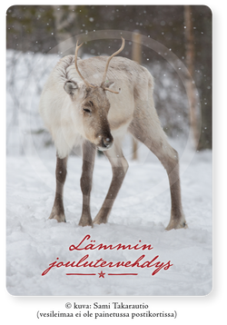 Jouluporo, joulupostikortti A6 (5, 10 tai 20 kpl)