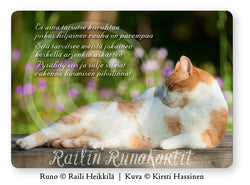 Laiskotteleva maatiaiskissa, Railin Runokortti -postikortti