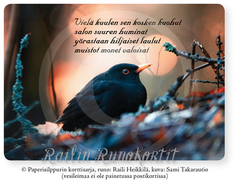 Mustarastas, Railin Runokortti -postikortti, 5, 10 tai 20 kpl