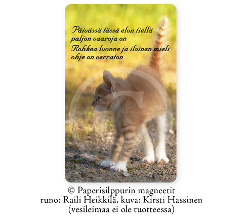 Pörröhäntäinen kissa -runomagneetti, 5 x 8 cm