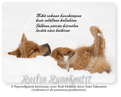 Suomenpystykorva köllöttelee selällään, Railin Runokortti -postikortti, 10 kpl