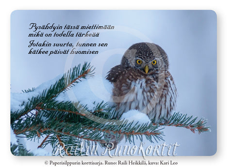 Pohdiskeleva pöllö, Railin Runokortti -postikortti