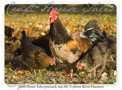 Kanat ja kukko syyspihalla, Torpan Tarinat® -postikortti, A6 (10 kpl)