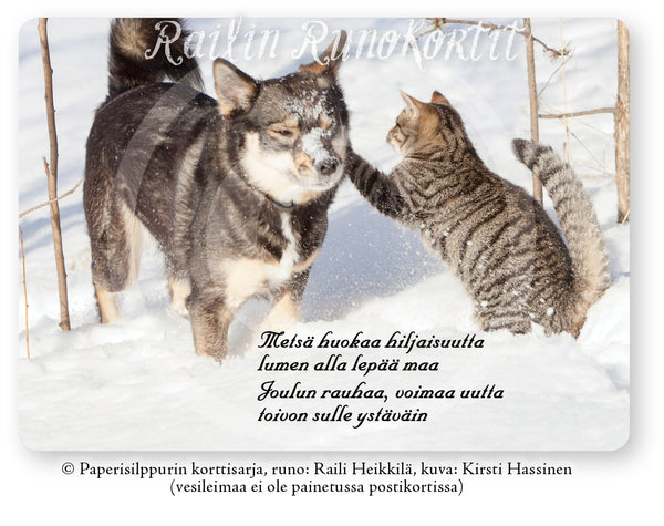 Koiran ja kissan joulutervehdys, Railin Runokortti (joulukortti)