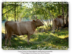 Lehmät metsälaitumella, Torpan Tarinat® -postikortti, A6 (10 kpl)