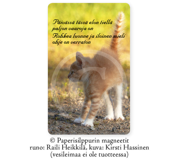 Pörröhäntäinen kissa -runomagneetti, 5 x 8 cm
