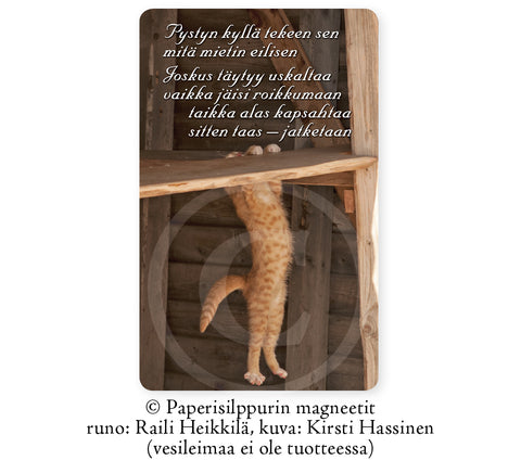 Roikkuva kissa -runomagneetti, 5 x 8 cm