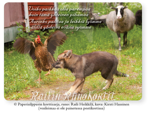 Kanan, koiranpennun ja uuhien leikkiä, Railin Runokortti -postikortti
