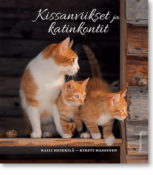 Kissanviikset ja katin kontit - elämänviisautta maatiaiskissan silmin (kirja)