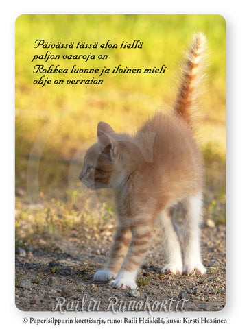 Pörröhäntäinen kissanpentu, Railin Runokortti -postikortti